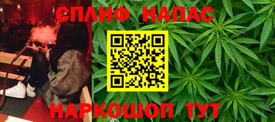 прущие грибы Балаково