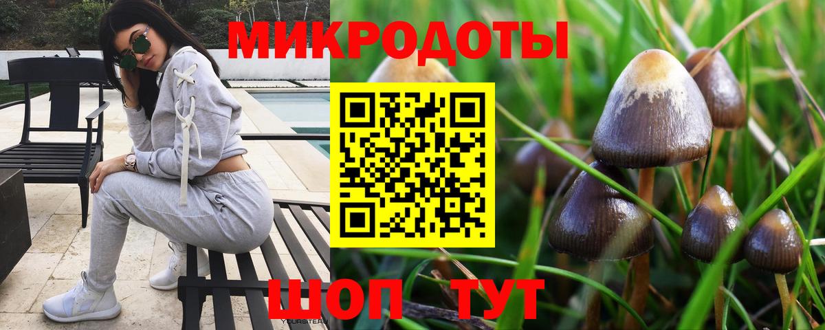 Псилоцибиновые грибы Cubensis Джанкой